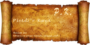 Pintér Kanut névjegykártya
